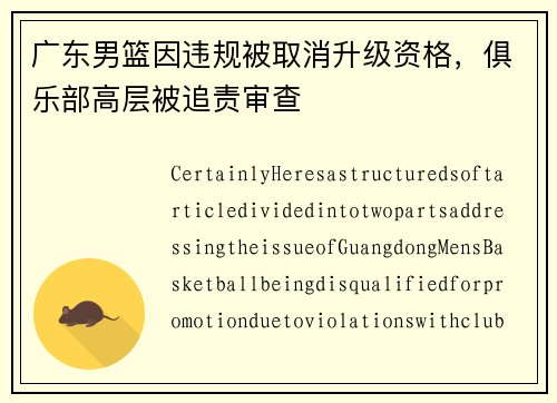 广东男篮因违规被取消升级资格，俱乐部高层被追责审查